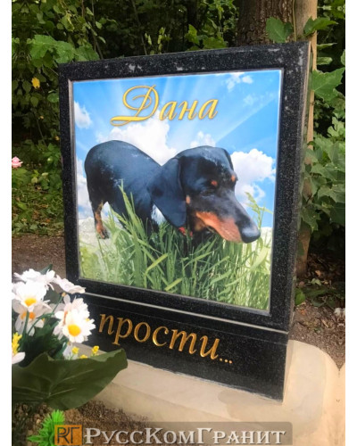 Работа 97